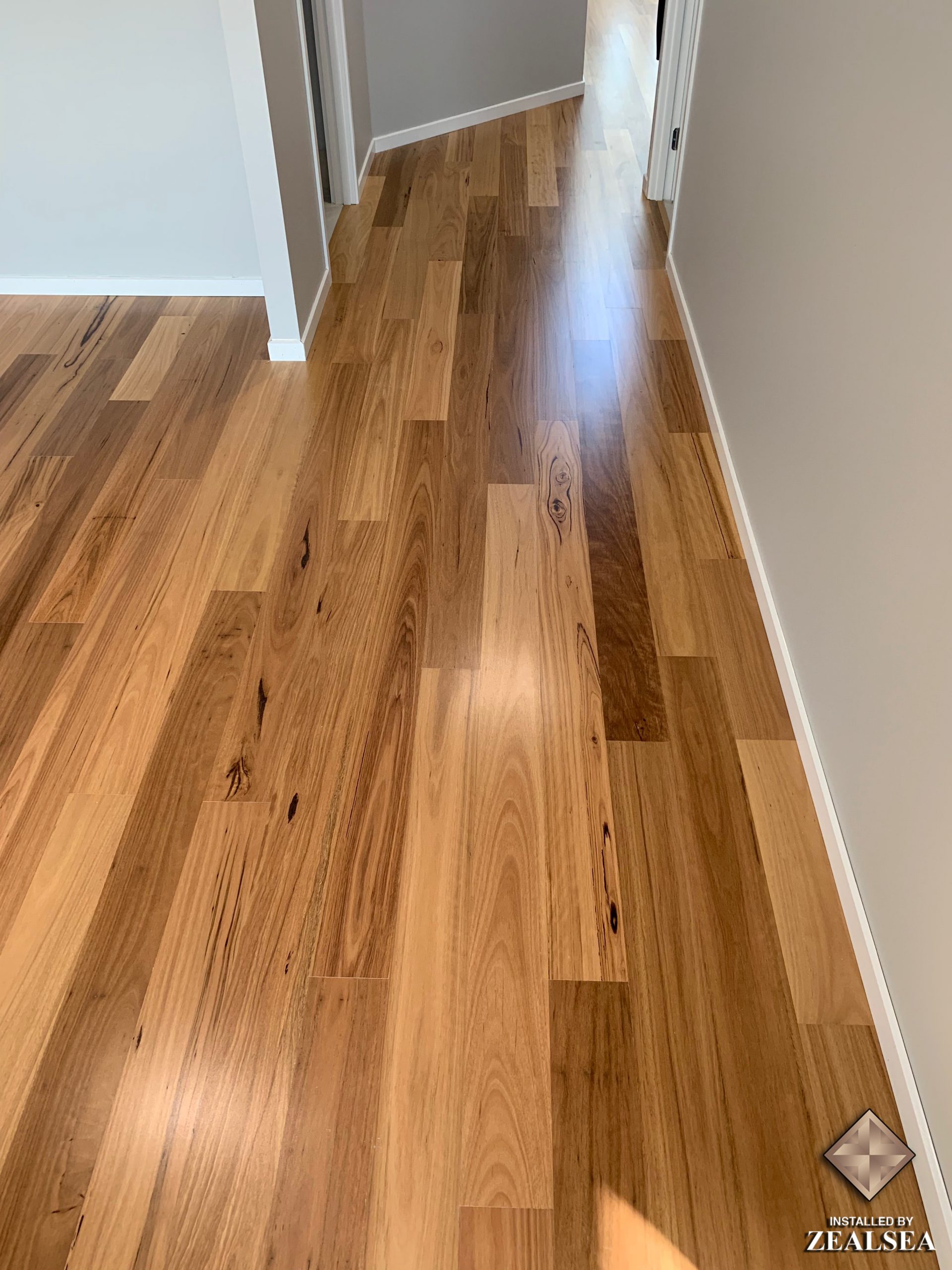 zealsea timber flooring professional installation oxley boral blackbutt 3 scaled